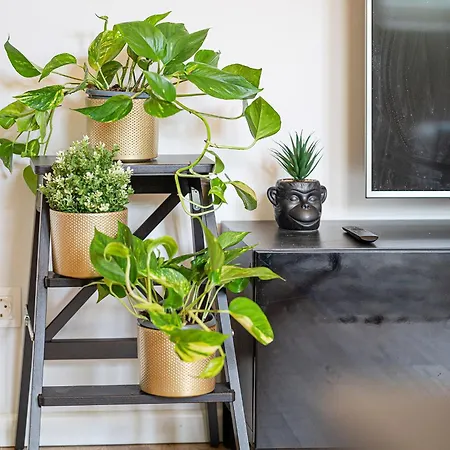 Premium Center Lukiskiu Appartement Vilnius