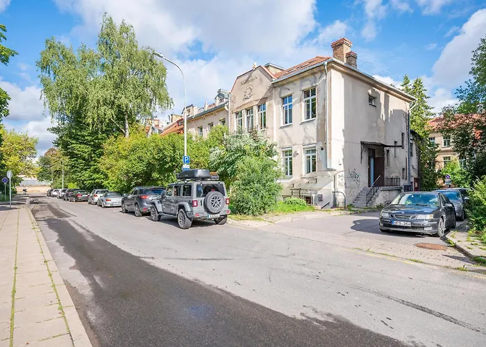 Premium Center Lukiskiu Apartamento Vilna